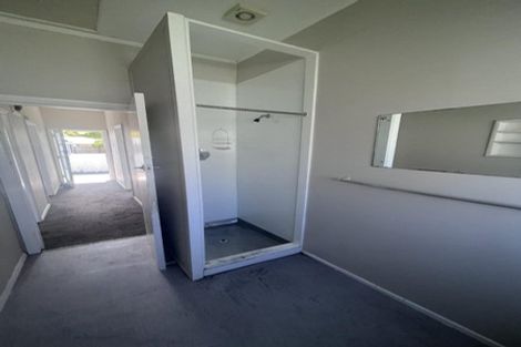 Photo of property in 6 Roosevelt Street, Levin, 5510