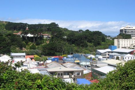 Photo of property in 173 Tasman Street, Mount Cook, Wellington, 6021