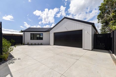 Photo of property in 7 Samuel Place, Terrace End, Palmerston North, 4410