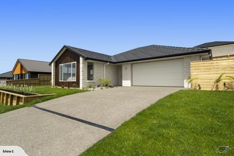 Photo of property in 80 Bert Wall Drive, Omokoroa, 3114