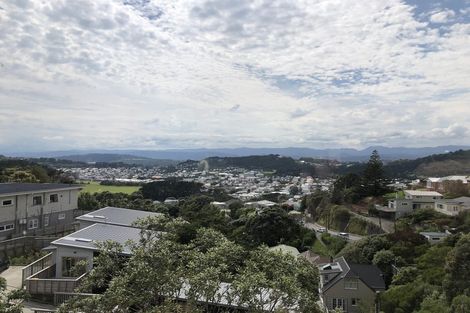 Photo of property in 51 Farnham Street, Mornington, Wellington, 6021