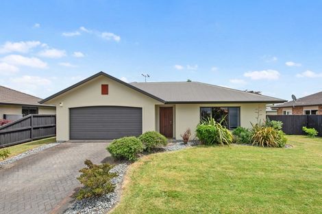Photo of property in 41 Tuirangi Street, Flagstaff, Hamilton, 3210