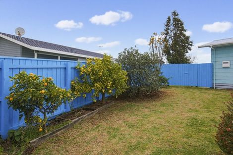 Photo of property in 23 Douglas Street, Levin, 5510