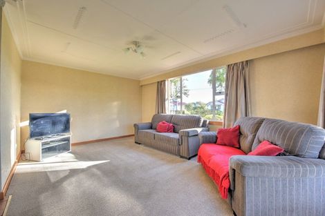 Photo of property in 49 Hamilton Street, East Gore, Gore, 9710