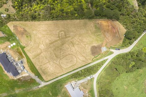 Photo of property in 113 West Road, Kaukapakapa, 0873