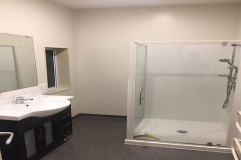 Photo of property in 164 The Ridgeway, Mornington, Wellington, 6021