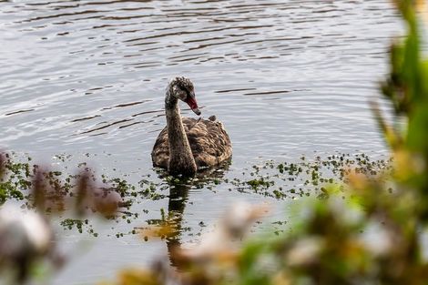 Photo of property in 159a Budge Street, Riversdale, Blenheim, 7201