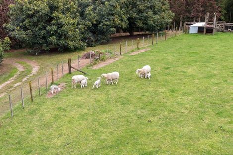 Photo of property in 110 Pukemapu Road, Oropi, Tauranga, 3173