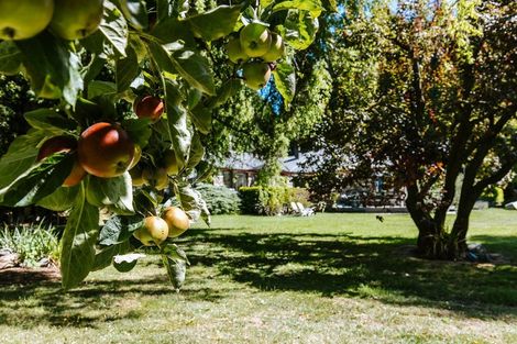 Photo of property in 2127b Cardrona Valley Road, Cardrona, Wanaka, 9382