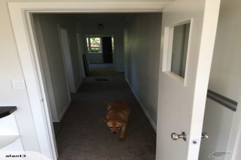 Photo of property in 15 Raynbird Street, Company Bay, Dunedin, 9014