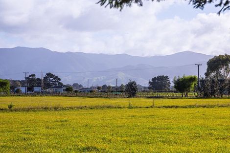 Photo of property in 23 Settlement Road, Morison Bush, Greytown, 5794