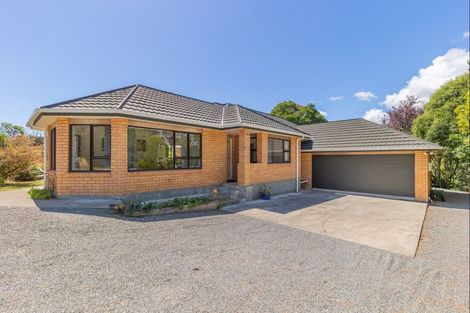 Photo of property in 223 Heatherlea East Road, Levin, 5571