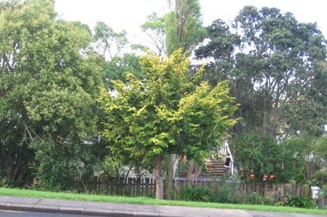 Photo of property in 80 Triangle Road, Massey, Auckland, 0614