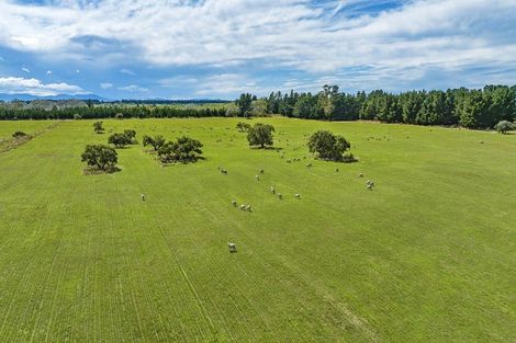 Photo of property in 2394 Old West Coast Road, Kirwee, Christchurch, 7671