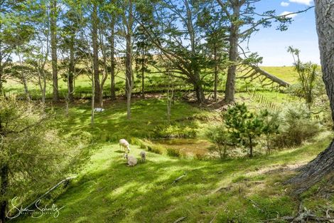 Photo of property in 712 Oruawharo Road, Oruawharo, Wellsford, 0975