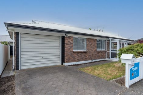 Photo of property in 172a Nixon Street, Hamilton East, Hamilton, 3216