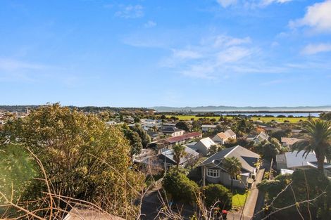 Photo of property in 16 Iwa Road, The Wood, Nelson, 7010