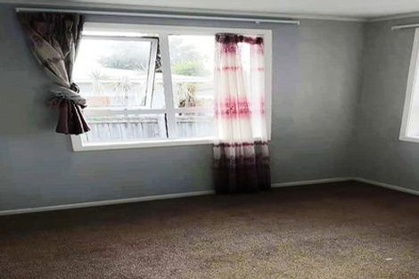 Photo of property in 60 Webster Avenue, Mount Roskill, Auckland, 1041