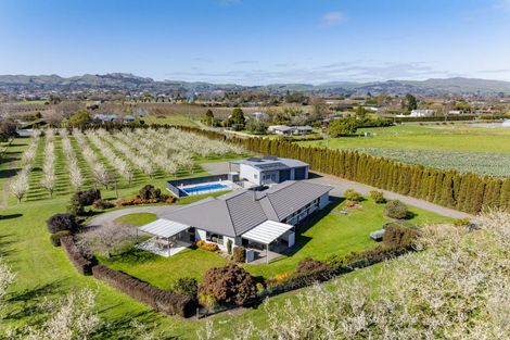 Photo of property in 1280 Howard Street, Parkvale, Hastings, 4122