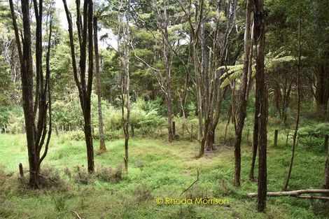 Photo of property in 318 Franklin Road, Paparoa, 0571