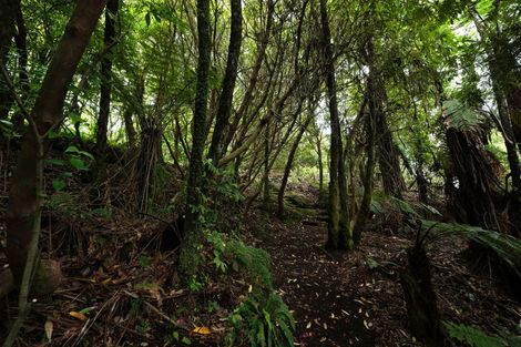 Photo of property in 231 Millar Road, Lake Okareka, Rotorua, 3076