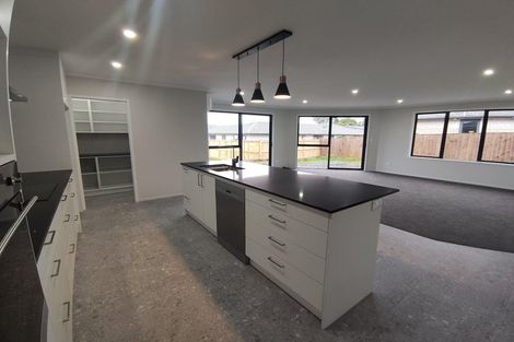 Photo of property in 38 Chardonnay Way, Te Kauwhata, 3710