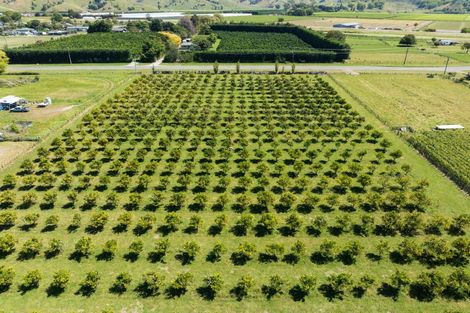 Photo of property in 17 Cemetery Road, Patutahi, Gisborne, 4072