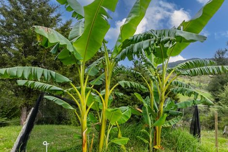 Photo of property in 465 Helmsdale Road, Waipu, 0582