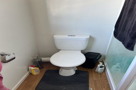 Photo of property in 43a Cook Street, Hamilton East, Hamilton, 3216