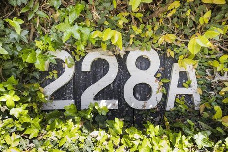 Photo of property in 228a Victoria Avenue, Hokowhitu, Palmerston North, 4410