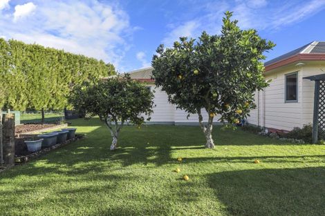 Photo of property in 59 Gordon Avenue, Te Aroha, 3392