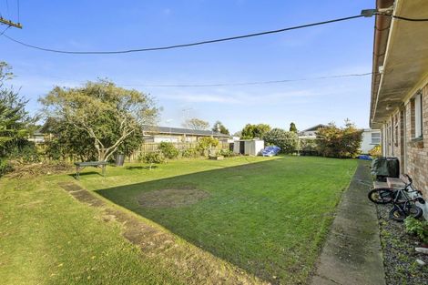 Photo of property in 29 Marchant Street, Putaruru, 3411