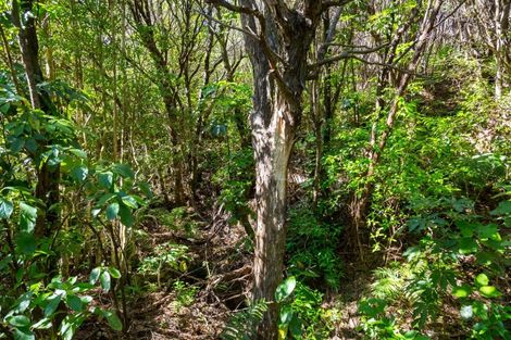 Photo of property in 294 Waiohine Gorge Road, Dalefield, Carterton, 5791