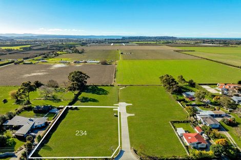 Photo of property in 234 Meeanee Road, Meeanee, Napier, 4112