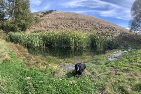 Photo of property in 64 Littles Drive, Waikari, 7420