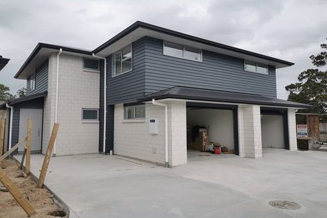 Photo of property in 20a Sare Crescent, Fairfield, Hamilton, 3214