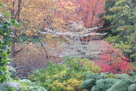 Photo of property in 116 Tauwharenikau Road, Tututawa, Stratford, 4392