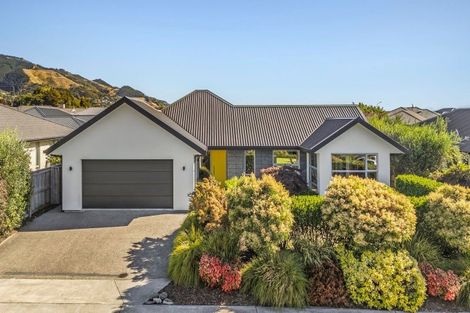 Photo of property in 80 Daelyn Drive, Richmond, 7020