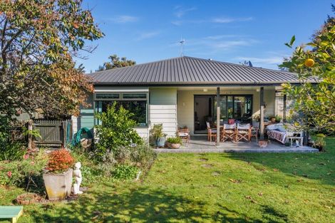 Photo of property in 85 Denbigh Street, Feilding, 4702