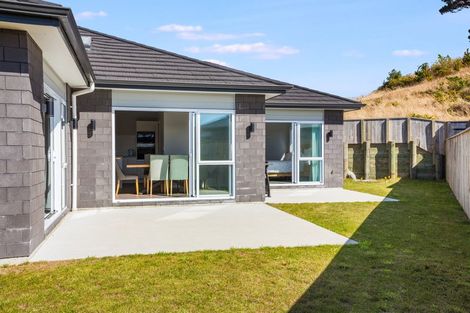 Photo of property in 65 Queen Charlotte Drive, Aotea, Porirua, 5024