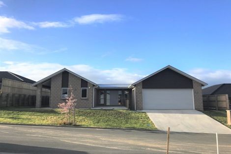 Photo of property in 21 Miharo Crescent, Flagstaff, Hamilton, 3210