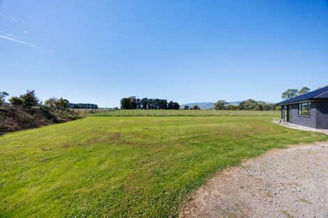 Photo of property in 1373 Colyton Road, Ashhurst, 4470