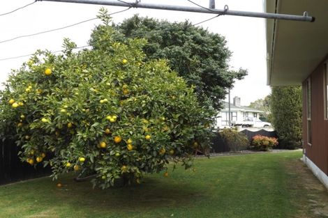 Photo of property in 10 Te Kama Street, Levin, 5510