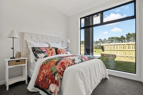 Photo of property in 111 Mclarin Road, Glenbrook, 2681