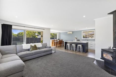 Photo of property in 30 Horace Street, Cromwell, 9310