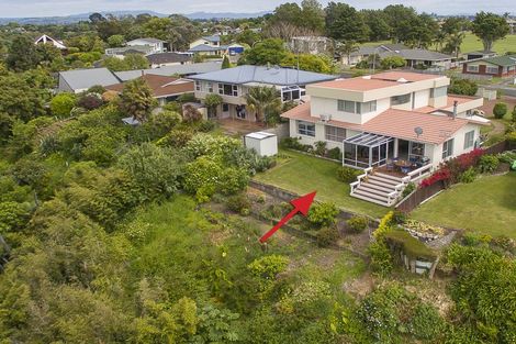 Photo of property in 17 Te Hono Street, Maungatapu, Tauranga, 3112