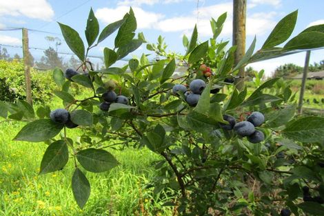 Photo of property in 549a Seddon Road, Gordonton, Hamilton, 3287