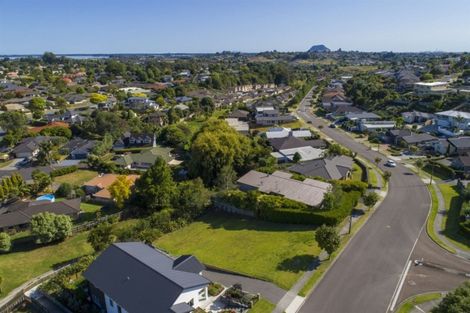 Photo of property in 113 Castlewold Drive, Bethlehem, Tauranga, 3110