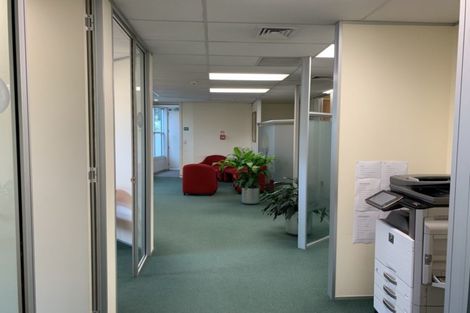 Photo of property in 8a Madeira Lane, Grafton, Auckland, 1023