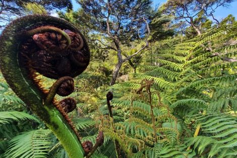 Photo of property in 50 Lone Kauri Road, Karekare, New Lynn, 0772